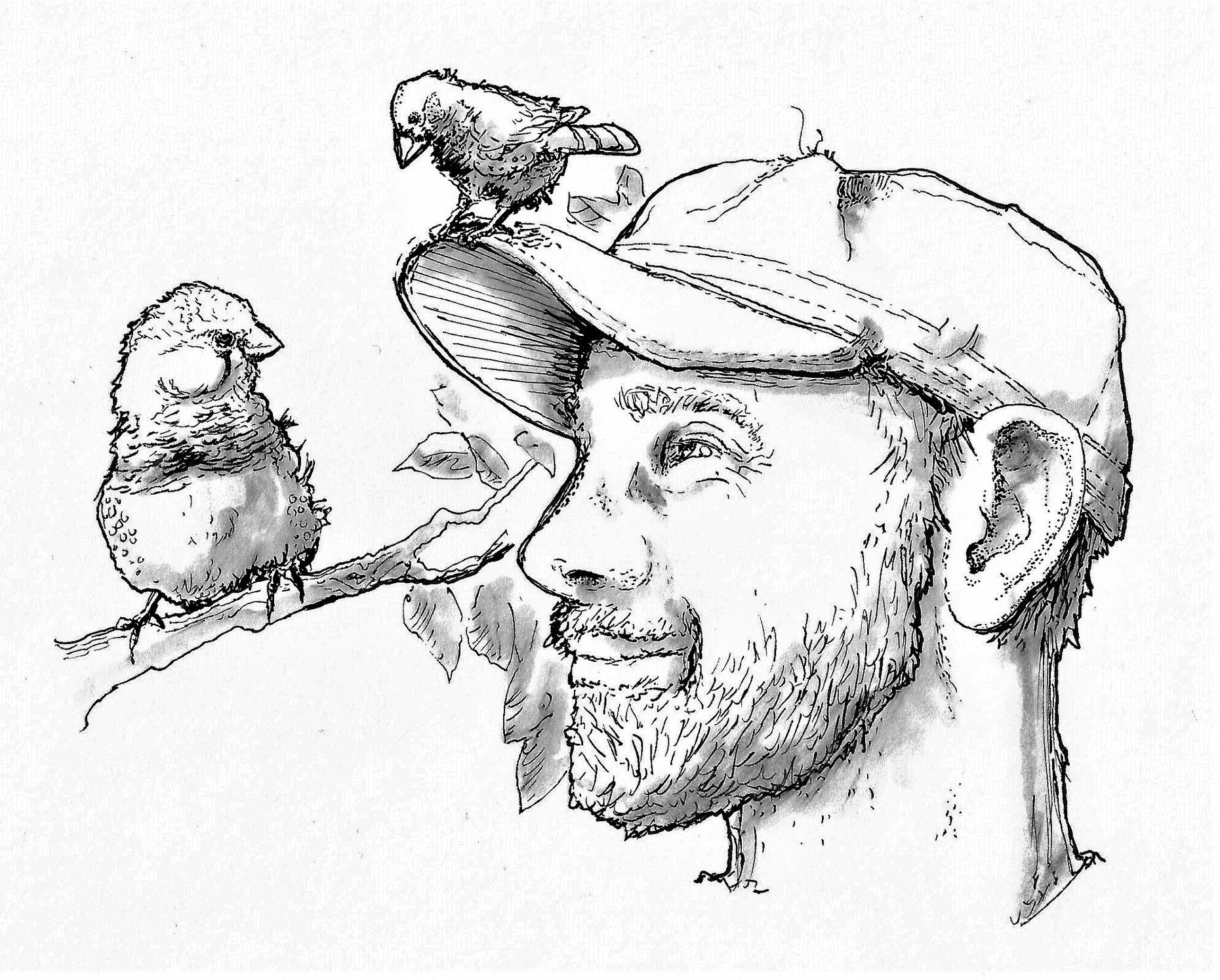 Icon for Basic Finch Studio